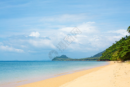 热带热带海滩水晶旅行晴天支撑棕榈森林假期照片冲浪海洋图片