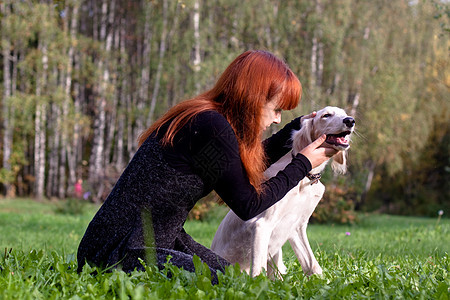 女童和小狗黑色食肉友谊宠物绿色猎犬森林白色桦木水平图片