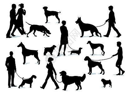 与狗一起走路动物牧羊犬团伙训练娱乐皮带宠物猎狗监督猎犬图片