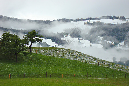 瑞士的雪 白雪图片
