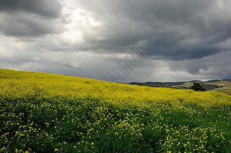 戏剧天空风暴天堂黑色暴风云暴风雨云景戏剧性气象场景危险图片