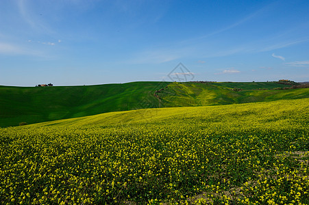 Val dOrcia土库曼斯坦景观阳光蓝天油菜籽天空美化场地土地植物爬坡图片