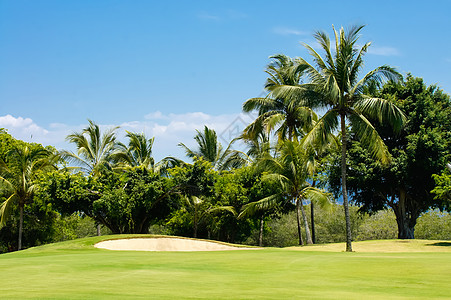 高尔夫课程推杆蓝天棕榈绿色天空练习场景观游戏热带掩体图片