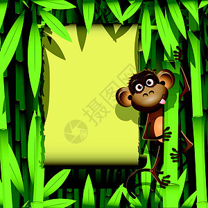 猴子猴绘画热带漫画荒野叶子棕色动物园孩子动物丛林图片