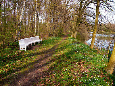 美丽的花园公园木板椅座席角图片