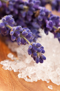 淡紫花和浴盐     美容治疗草本药品草本植物温泉宏观花束薰衣草白色植物身体图片