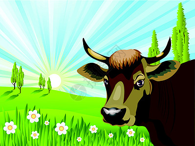 野中牛牛天空生物奶牛农场眼睛棕色生态喇叭产品草本植物图片