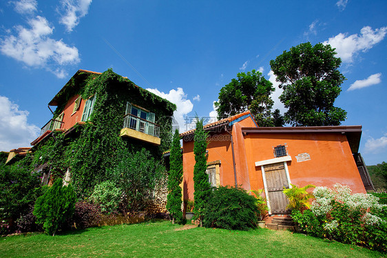 意大利家庭风格植被花园建筑爬行者植物生活房子生长小屋天空图片