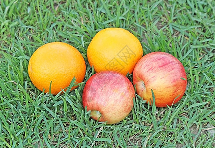 草地上的橙子和苹果图片