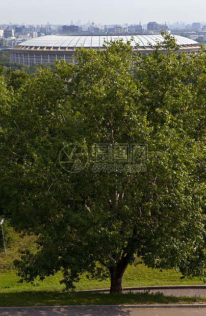 莫斯科麻雀山Luzhniki体育场景图片