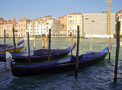 沿意大利威尼斯大运河的Gondolas更多图片
