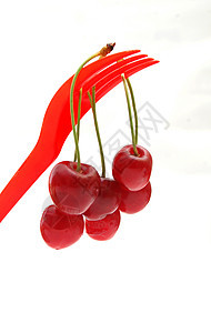 红樱桃水果生长白色肉质果园反光食物美食甜食阴影图片