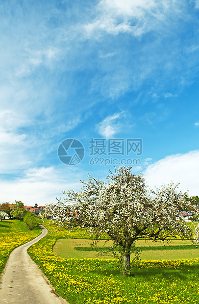 开阔的果树 再加上村里的果实绿色环境季节村庄天空房屋农村草地牧歌教会图片