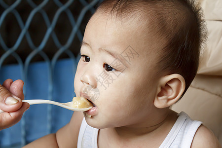 儿童饮食早餐食物后代勺子父母享受水果男生稀饭座位图片