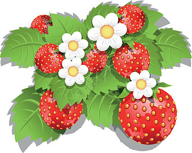 草莓树绿色植物床单插图白色美食花园甜点黄色浆果图片
