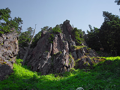 山区风风乡村公园农村绿色松树森林林地城市国家季节图片