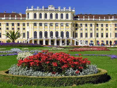 奥地利维也纳Schonbrunn宫殿和花园花朵绿色公园建筑学旅游城堡图片