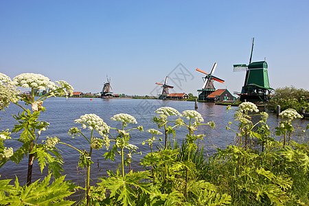 荷兰风车村的风车博物馆天空水路旋转历史性刀刃历史背景