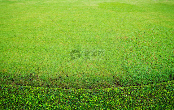 美丽的绿绿草草皮环境生长场地草本植物植物墙纸牧场公园运动图片