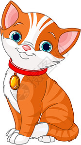 可爱猫剪贴条纹绿色家猫猫科尾巴绘画胡须卡通片红发图片