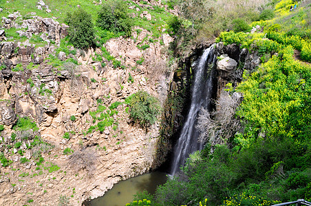 吉拉本瀑布运动飞溅高地森林速度山沟地形长臂猿溪流环境图片