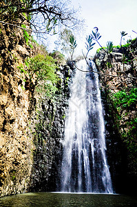 吉拉本瀑布风景速度长臂猿池塘石头地形岩石环境溪流荒野图片
