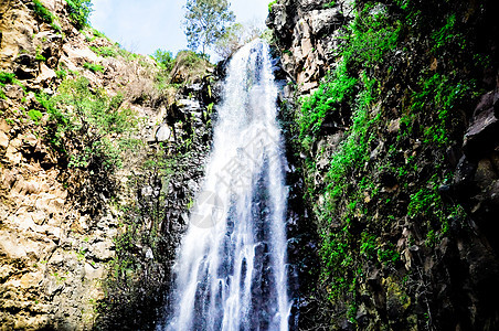 吉拉本瀑布长臂猿运动速度风景旅行岩石森林环境地形池塘图片