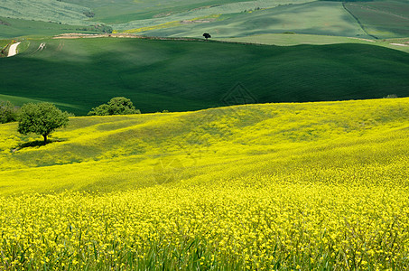 Val dOrcia土库曼斯坦环境农场日落全景植被风景农村爬坡草原意大利人图片