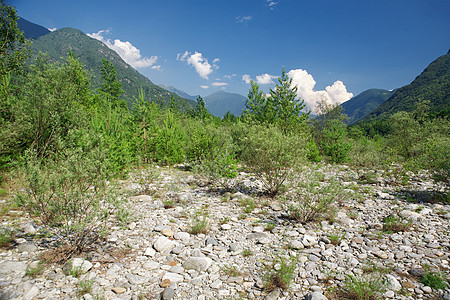 河谷植被旅行气候生物契诺石头植物群岩石丘陵旅游图片