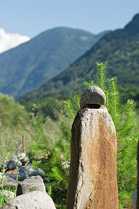 河谷晴天植物群植被契诺生长植物丘陵蓝色花园旅行图片