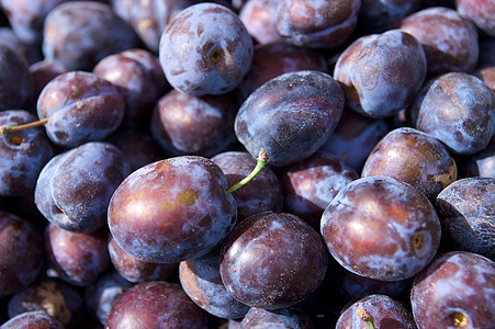水果维生素饮食农场生态紫色收成产品小吃营养园艺图片