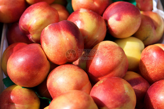 水果养分小吃桃子饮食墙纸生态油桃收成食物营养图片