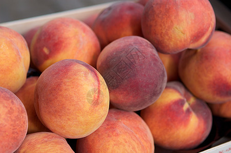 水果饮食墙纸产品食物生态营养小吃收成桃子图片