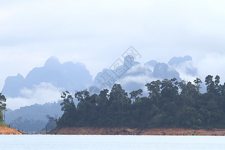 泰国广受欢迎的国家公园KhaoSok木头灌木丛风景薄雾森林环境干扰丛林反射蓝色图片