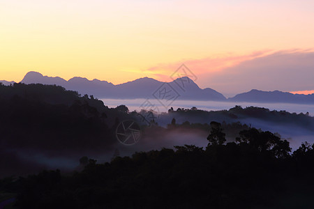 早晨有山岳和树木 带著戏剧般的云彩环境旅行顶峰森林阴影日落高地风景戏剧性太阳图片