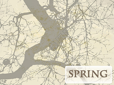 带有树和木板纹理的矢量春季背景图片