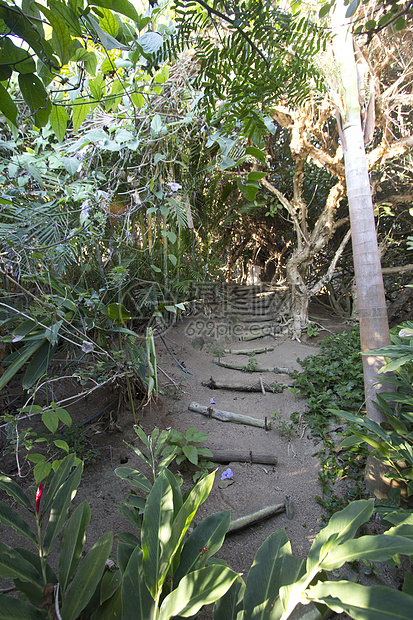 激烈的暴风雨丛林场景旅游叶子旅行植物冒险地形极限风景风光气候图片