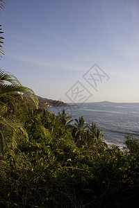 从丛林中的高处看大海海滩风景风光旅行属地蓝色热带气候海岸线田园图片