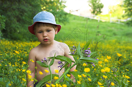 男孩在草地上玩耍男生小屋草药孩子们草本植物国家绿色图片