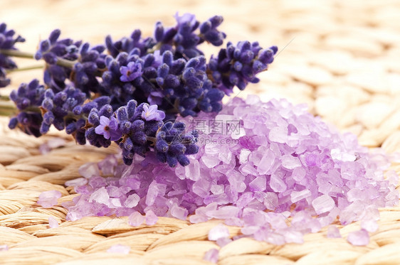 含盐蓝治疗薰衣草洗澡沙龙枝条花朵紫色卫生草本植物香味图片
