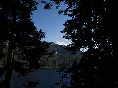 山地景观绿地林地松树公园风景季节国家绿色水路季节性图片