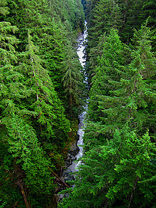山地景观乡村公园城市森林季节树木绿色季节性国家风景图片