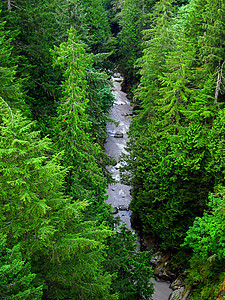 山地景观季节性乡村国家松树树木水路农村森林环境公园图片