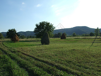 罗马尼亚科斯提的一个田地上的空干草堆图片