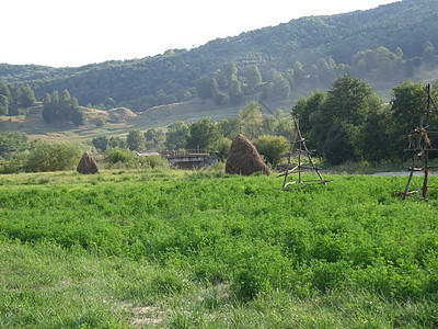 在罗马尼亚科斯特斯提的一个田地上打海斯塔克斯(Hashstacks)图片