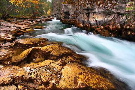 加拿大Maligne峡谷级联场景溪流栖息地生态绿地环境瀑布旅行流动荒野图片