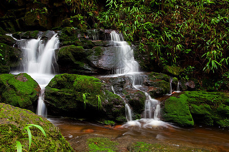 瀑布旅行流动石头热带天堂丛林美丽森林季节公园图片