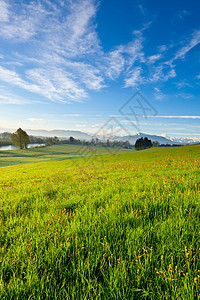 上午雾场地收成农场农村牧场植物土地太阳高山旅行图片