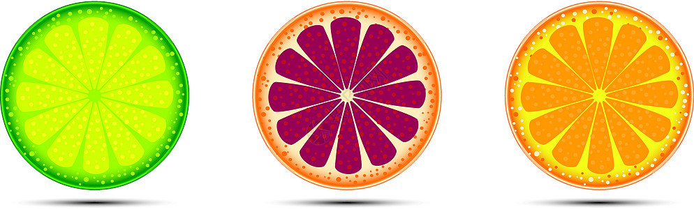 柑橘水果早餐橙子食物圆圈甜点饮食柠檬插图艺术柚子图片