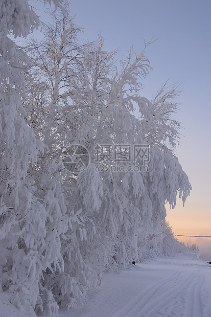 寒冬之夜 树枝和路边积雪图片
